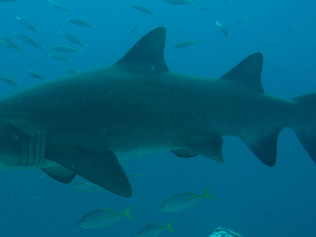 80382589-39da-42d0-816e-e59f0ae9ca5e