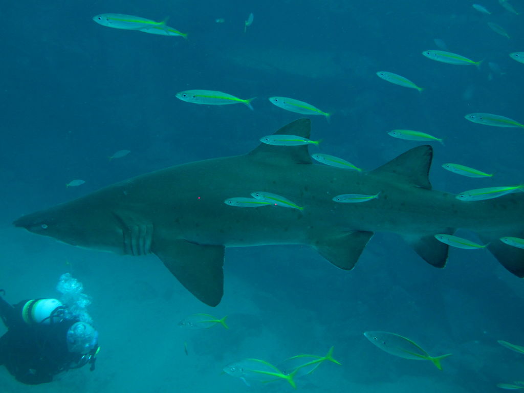 80382589-39da-42d0-816e-e59f0ae9ca5e