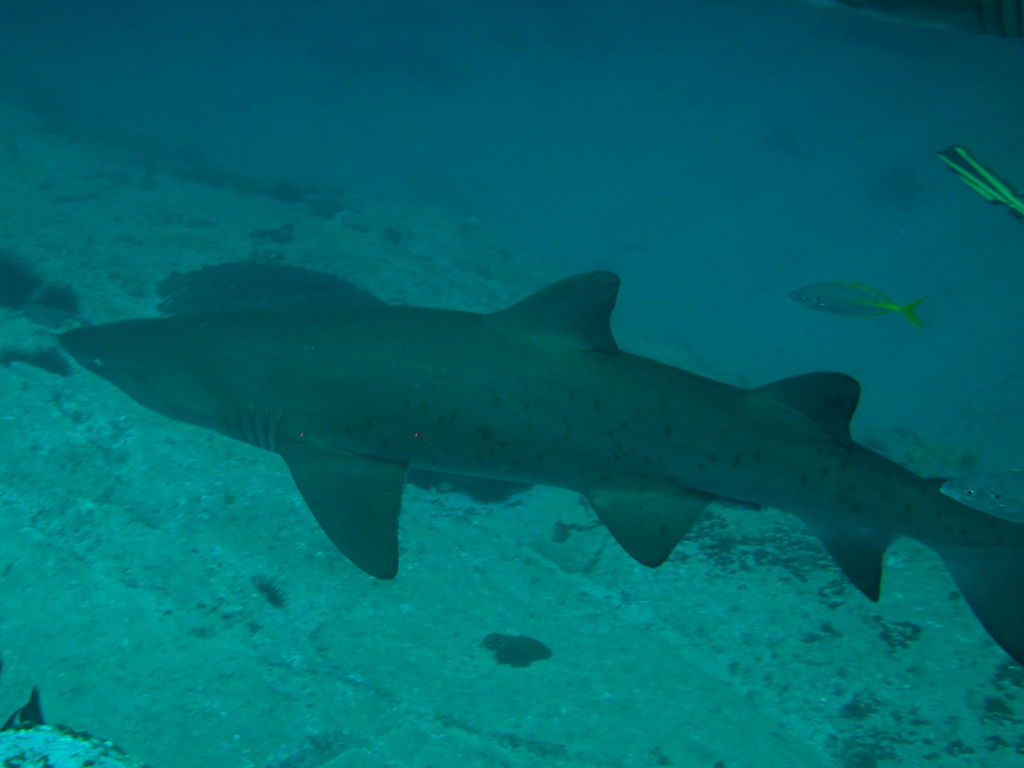 a304f0f4-9f24-4a5c-8bab-b691955b217d