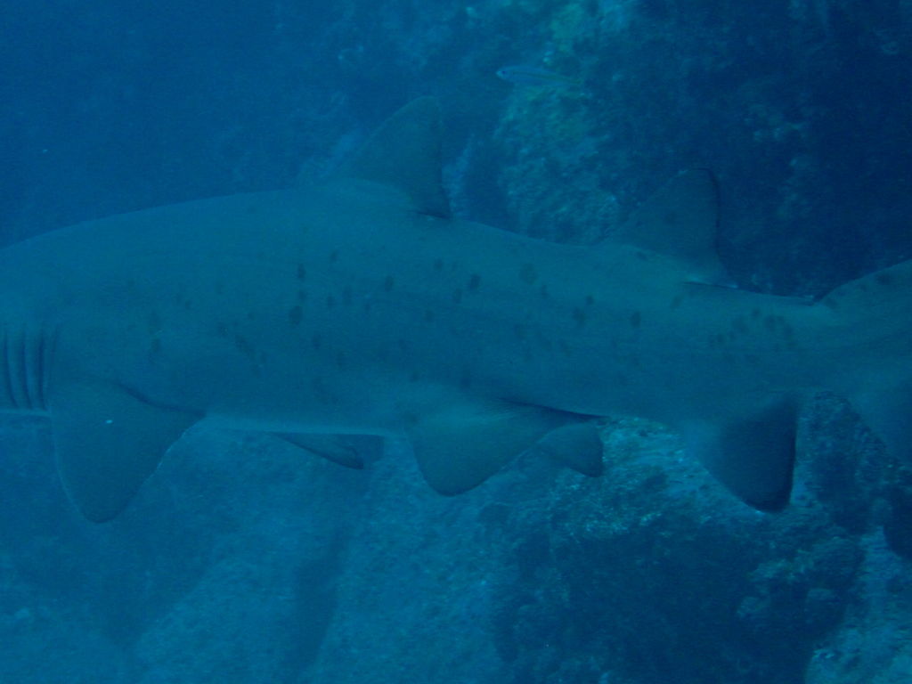 cc7eb717-2006-4d55-a5ec-9543864855b1