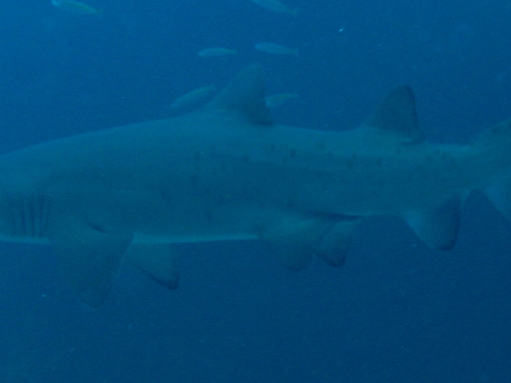 cc7eb717-2006-4d55-a5ec-9543864855b1