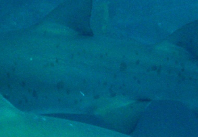 8b032309-2140-4339-b047-931678aefe75