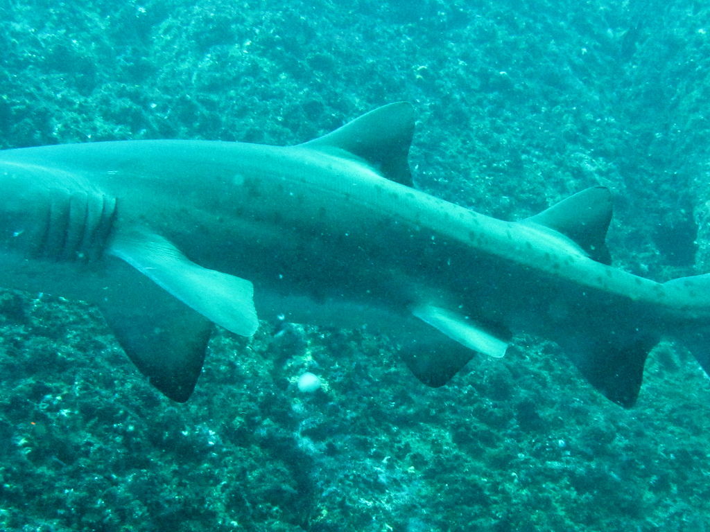 82e1223a-02c4-4d0f-9407-9566132e111e