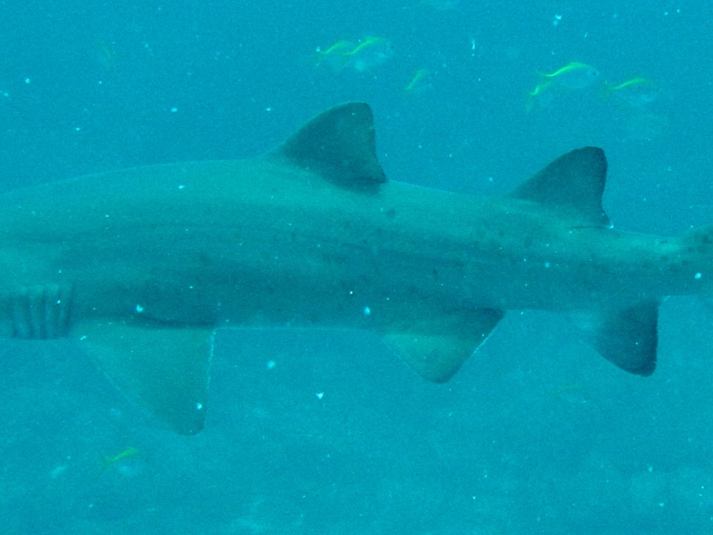 3aa37cca-5469-4cc2-8450-716ca74ddb28