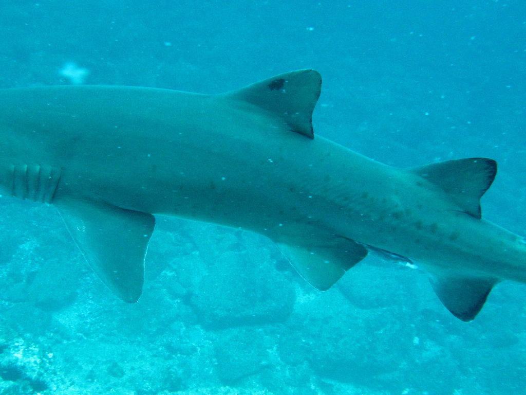 1d87b5b8-ca1e-402d-9de1-9aedcfa0e25b