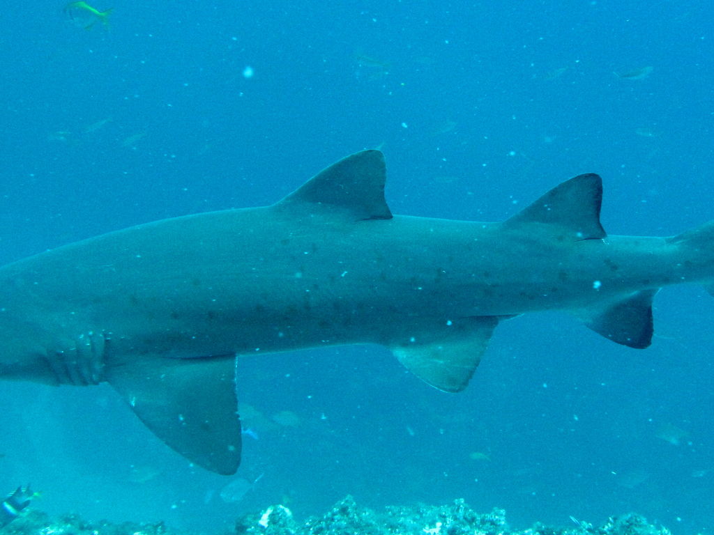 bb2b5480-9520-45f9-901c-4b9659a2d8b9