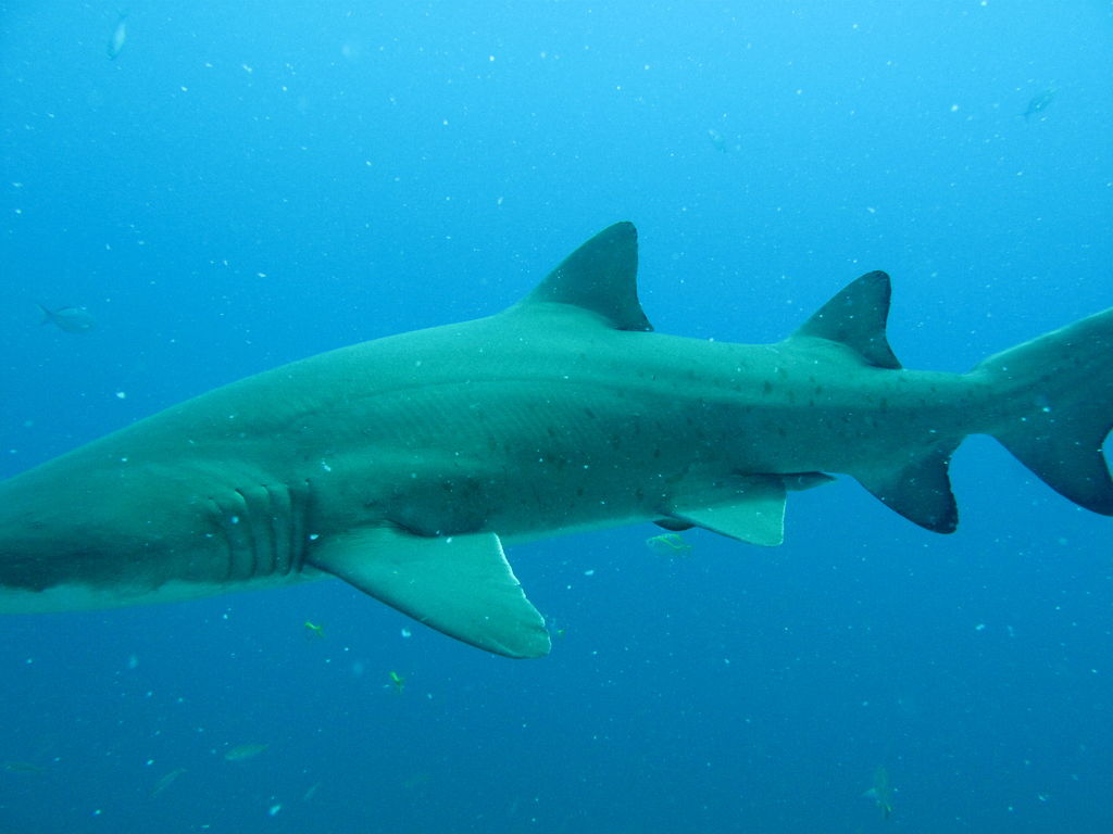 782cf3cf-d874-4bcb-867d-3ad8dec276e6