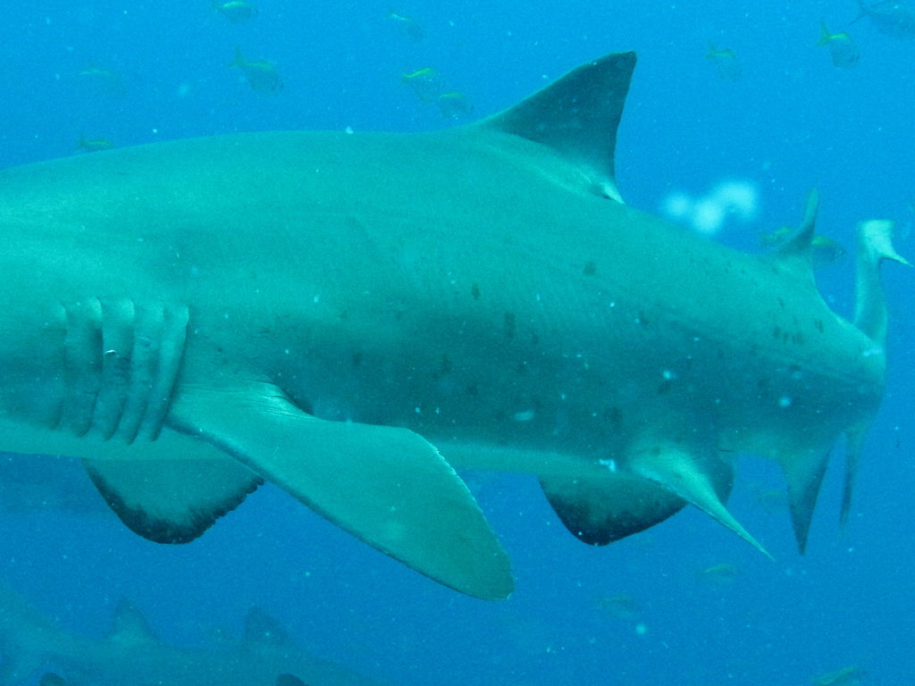 58bda85c-480e-4358-9cbb-10d19167b84a