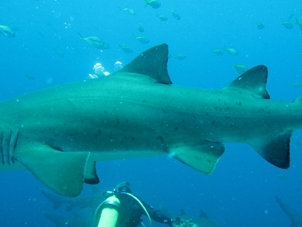 58bda85c-480e-4358-9cbb-10d19167b84a