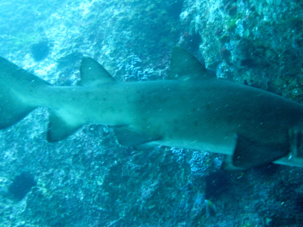 491aef20-dfec-488c-a3a8-764b95677935