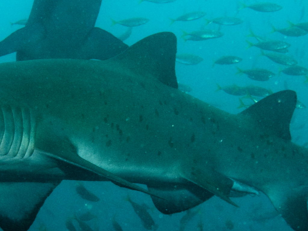 a8c8c99c-e989-48a0-b778-b2752d4ff5ab