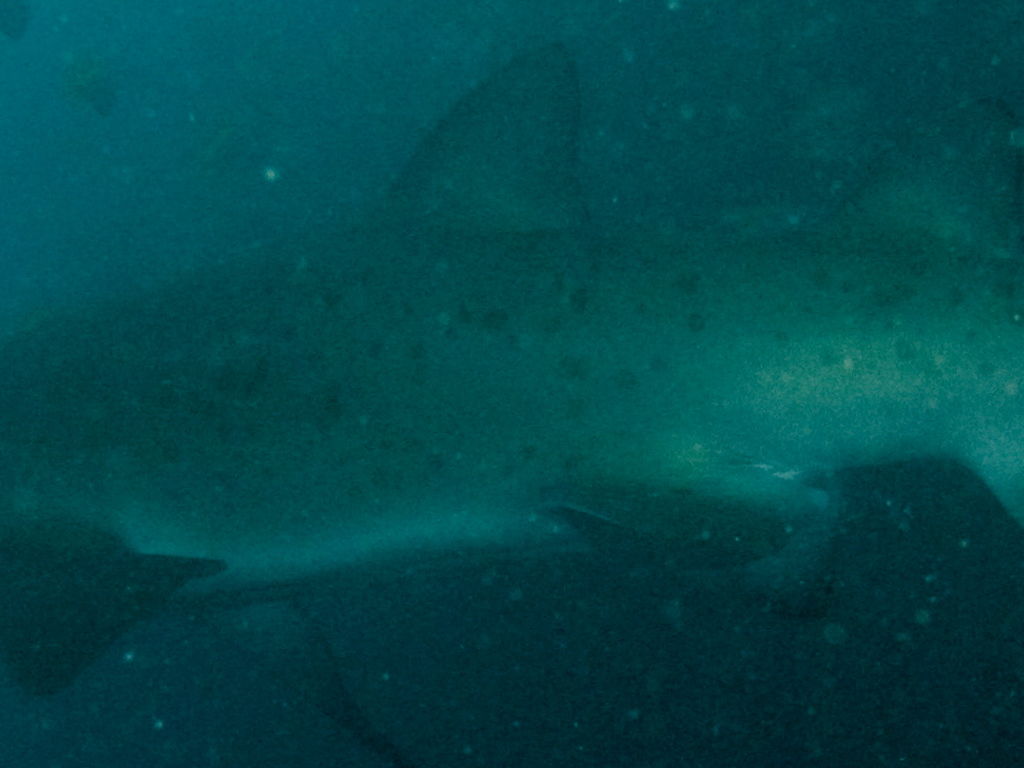 900f03e2-fabb-455a-a75b-c1b2ed5f864f