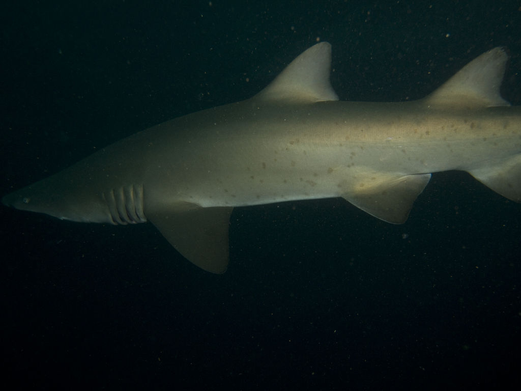 86a7550c-610a-4704-b6fa-4447d69d2908