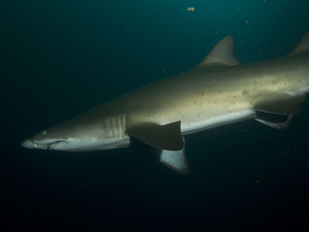 86a7550c-610a-4704-b6fa-4447d69d2908