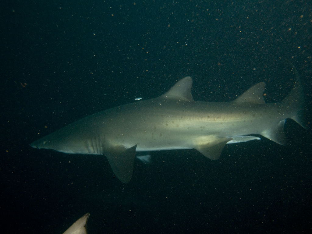 f291b4da-031c-4cbf-8b62-b1f26ab5c02a