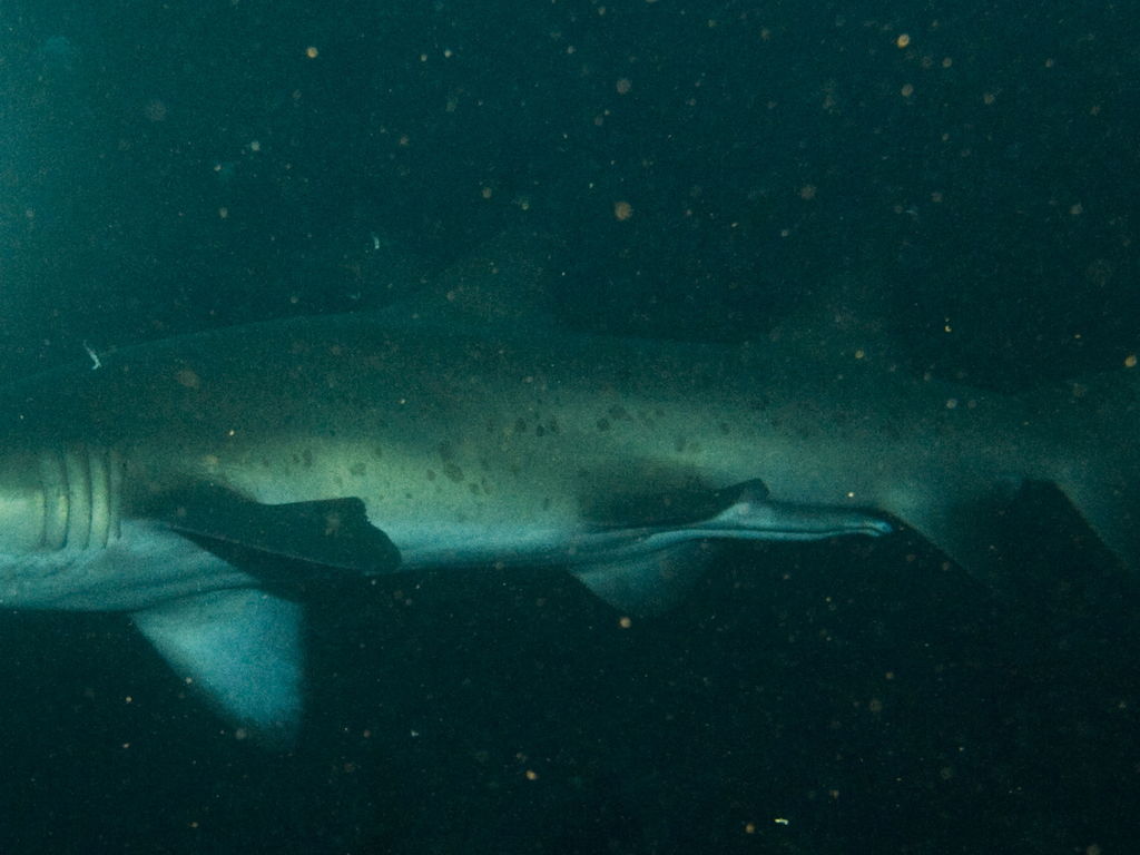 58610cb0-111d-4678-843d-ab4e928e2577