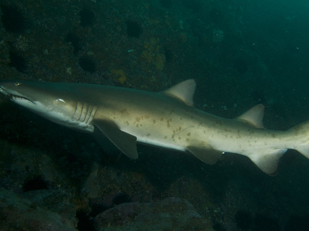 c7b89a58-6b29-457a-bf5b-49798d94b7b4