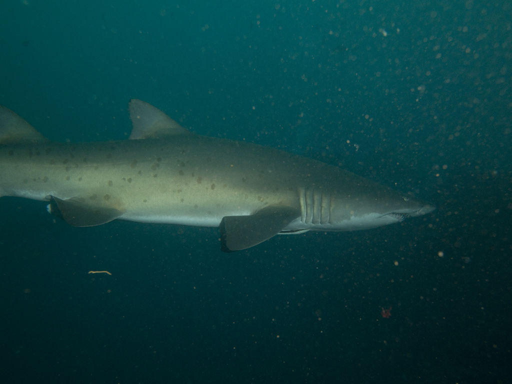 18d2efe5-90aa-4bfa-b377-5b050bba47da