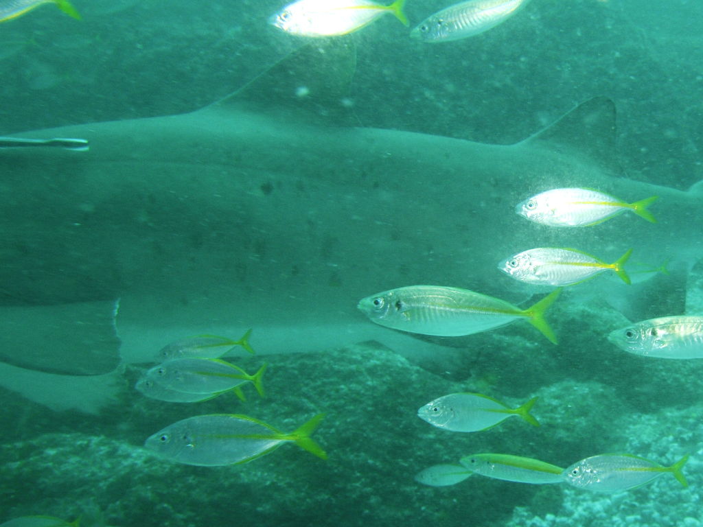 0b25b043-0b73-4ef9-bae9-4fbe8ecfd704