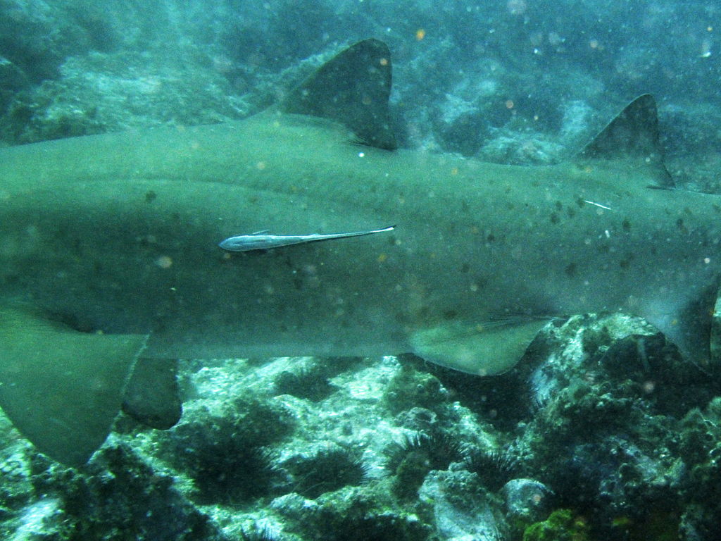 4885ae81-f237-457e-83d6-2493c1125861