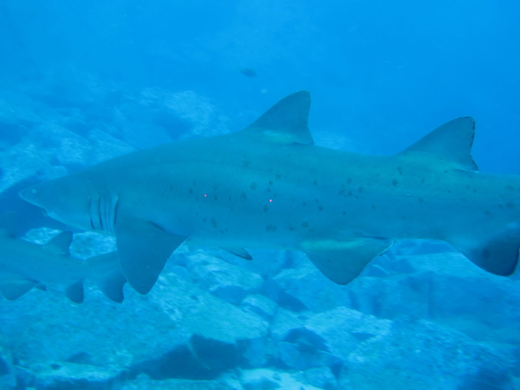 4e1ca866-5bf5-4ed3-bb9b-ad7fcd508bef