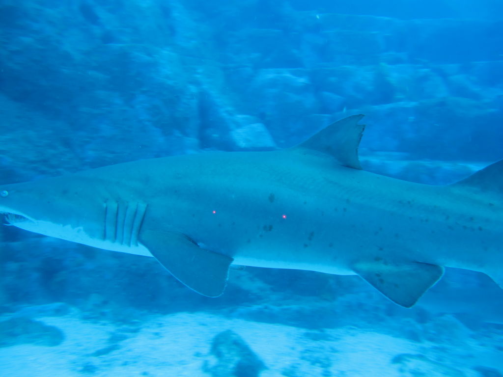 7363d59a-1f2b-4c27-82b4-f631a0ba1094