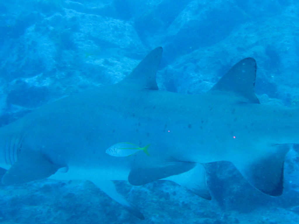 5c3de40b-5e4c-473a-9be3-9d4e35266746