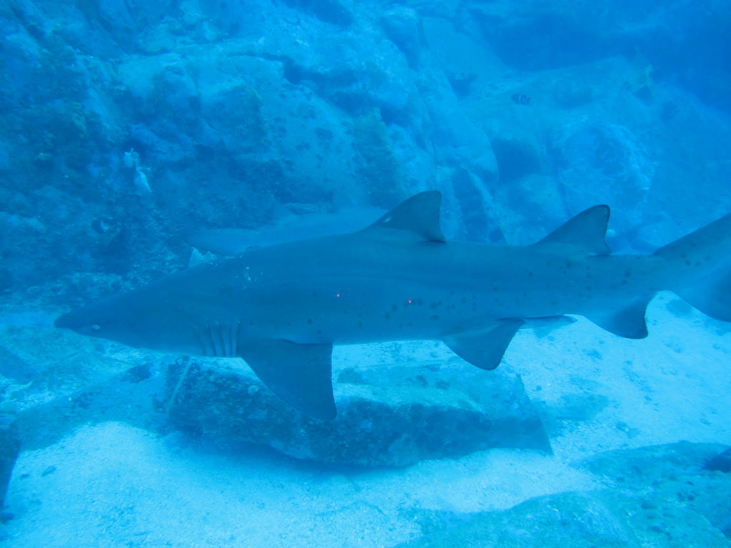 38eecaea-9da9-4f99-a036-78510255dd2e