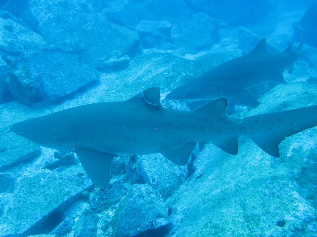 8cfad211-4dae-4be4-b07e-3869ed5c322f