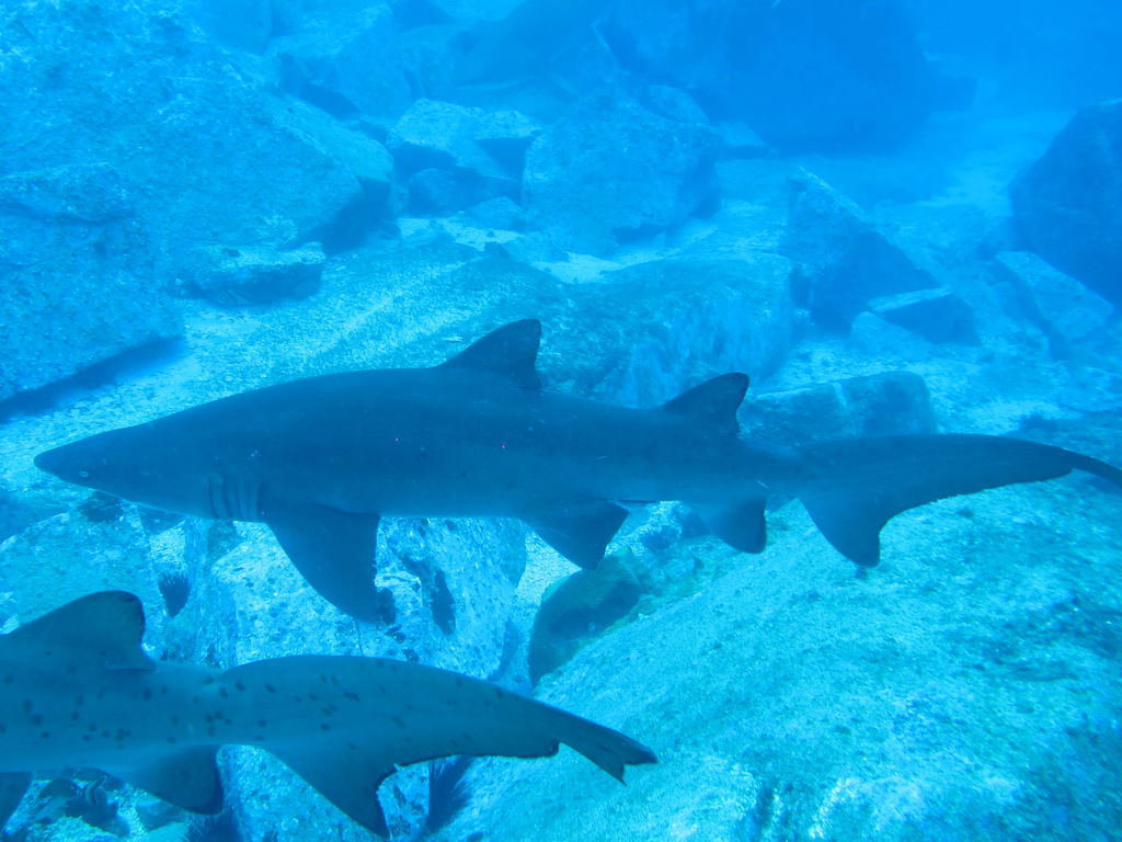 52ddd468-c302-45cc-bc7c-a24553eb943d