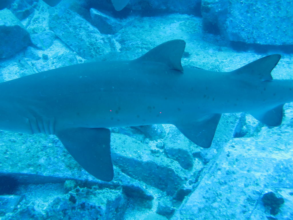 7ad28204-f5bb-4fb2-9189-96830d7a0718