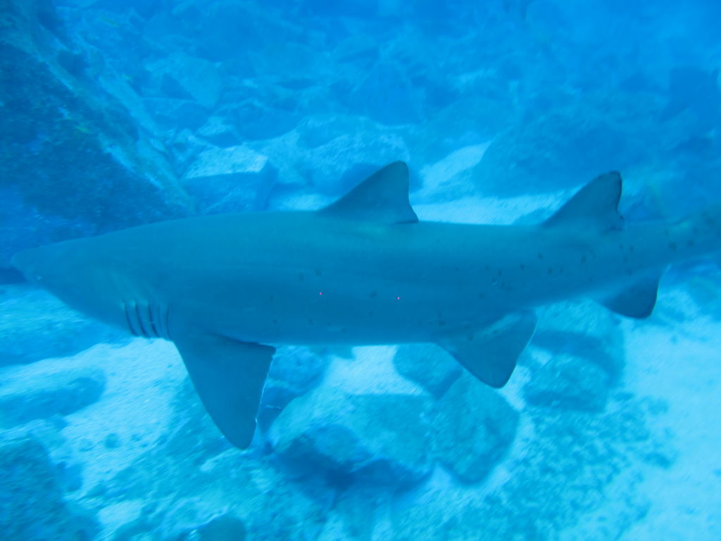 c24c170e-ed56-4976-84db-ecf964fd8575