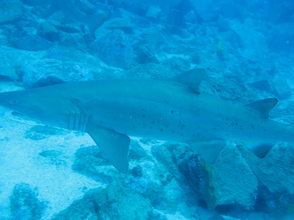 0b25b043-0b73-4ef9-bae9-4fbe8ecfd704