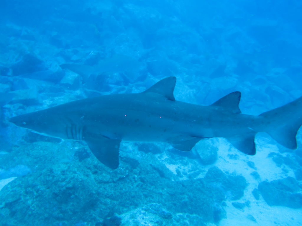 52ddd468-c302-45cc-bc7c-a24553eb943d