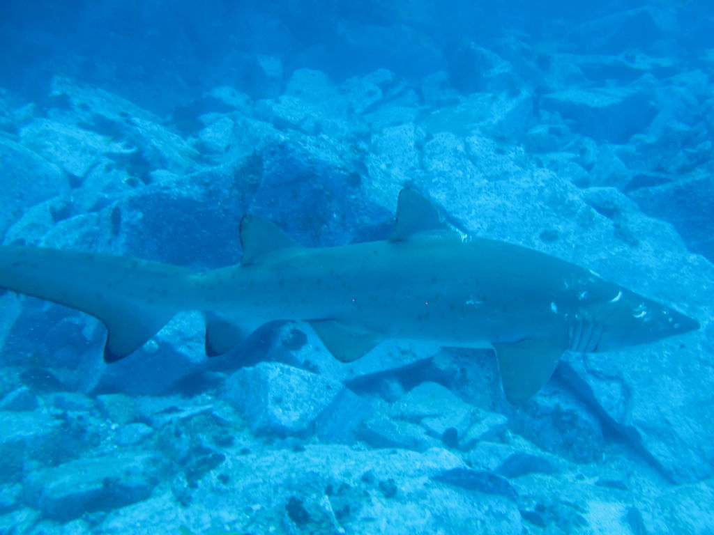 b0090b23-0f90-4811-b36a-36502c9ed66e