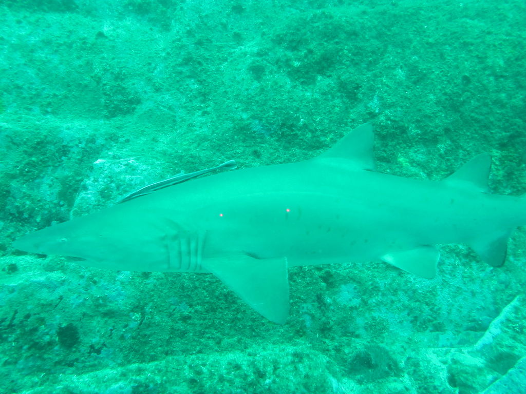 cf0f6488-d2ac-4e1e-a0c7-0d9ac6f45b01