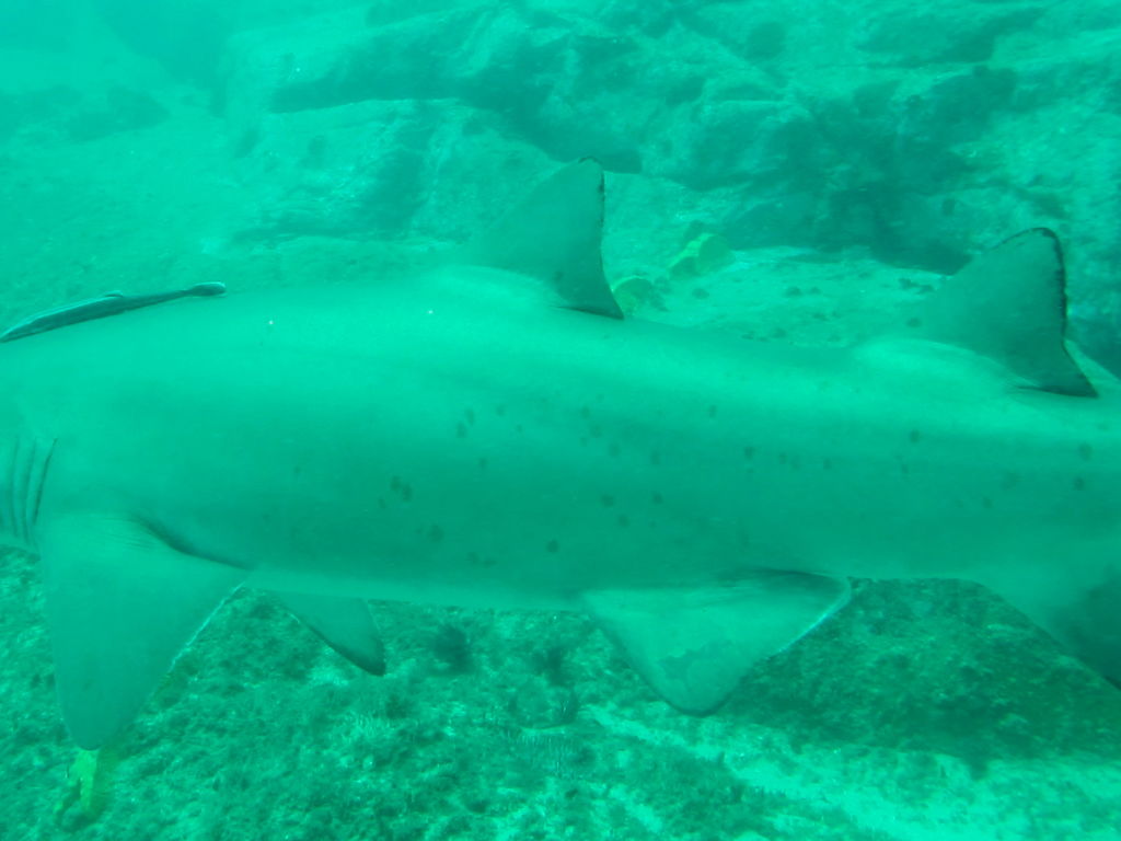 3f8923f8-7774-4b2d-9bd1-97d9a8cd635e