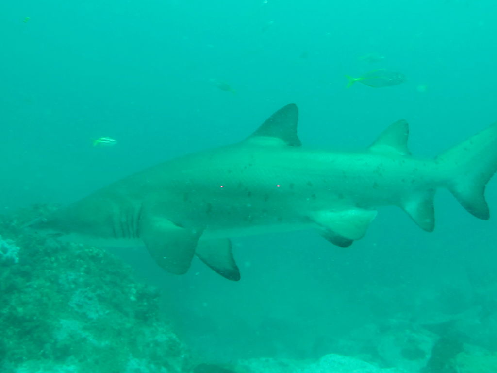 8172dc99-cdc2-442e-ba67-cc50aed9a6d7