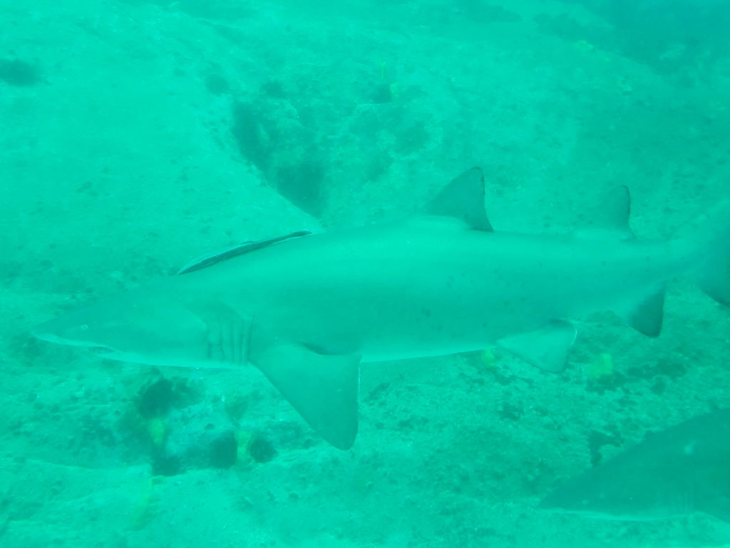 3f8923f8-7774-4b2d-9bd1-97d9a8cd635e