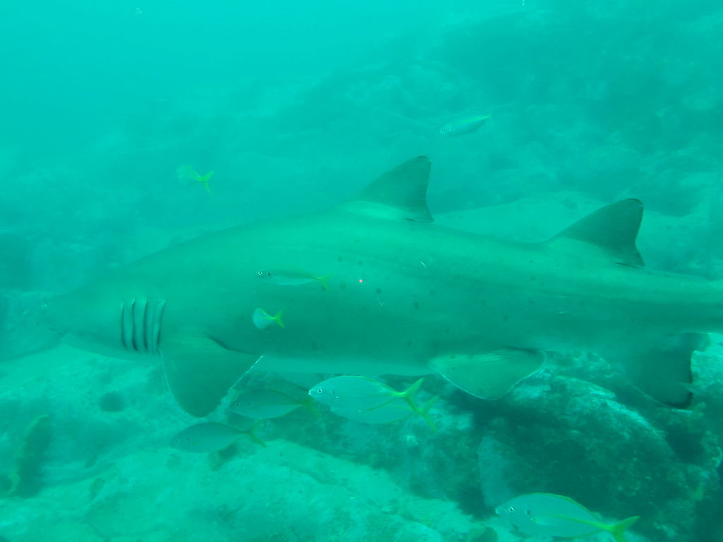 e5988c6f-86e6-405f-b951-07277ebc93f1