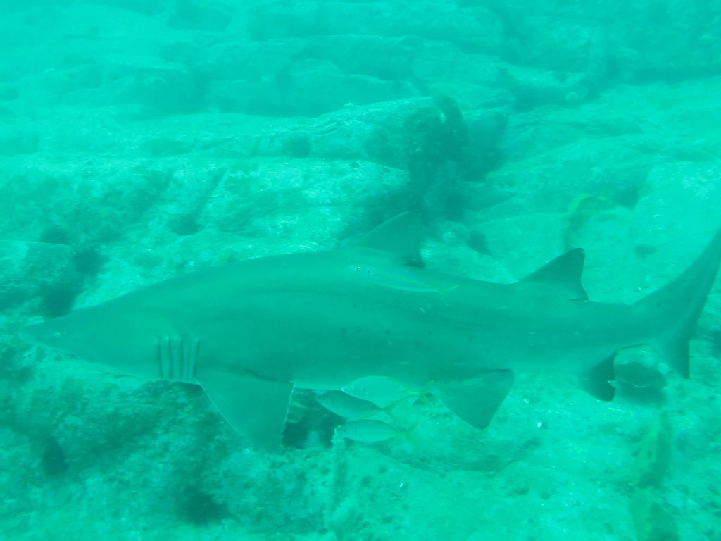 e5988c6f-86e6-405f-b951-07277ebc93f1