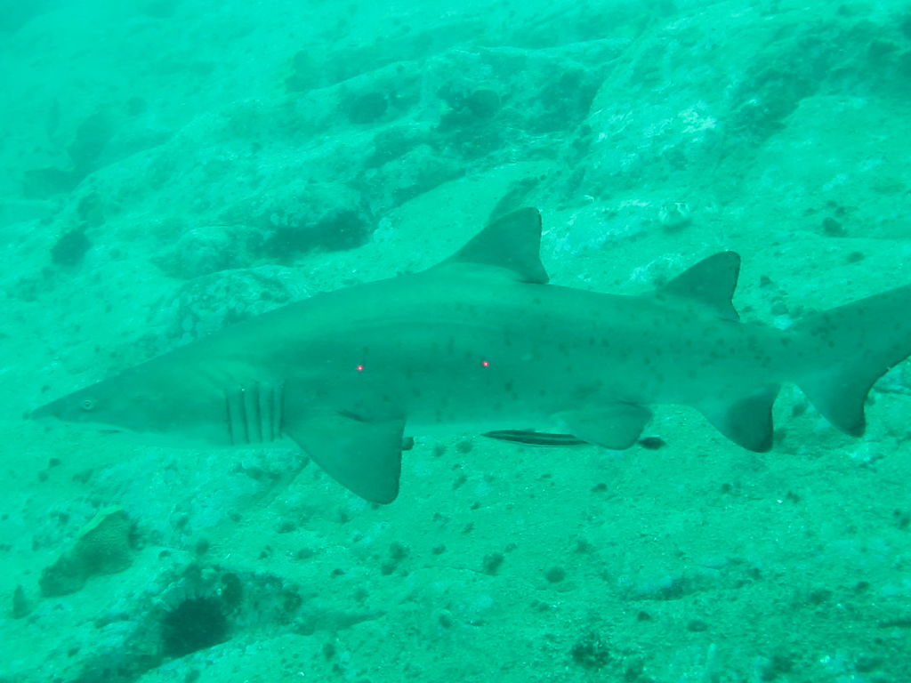 16c17852-a675-4a11-b520-39548c8a6843