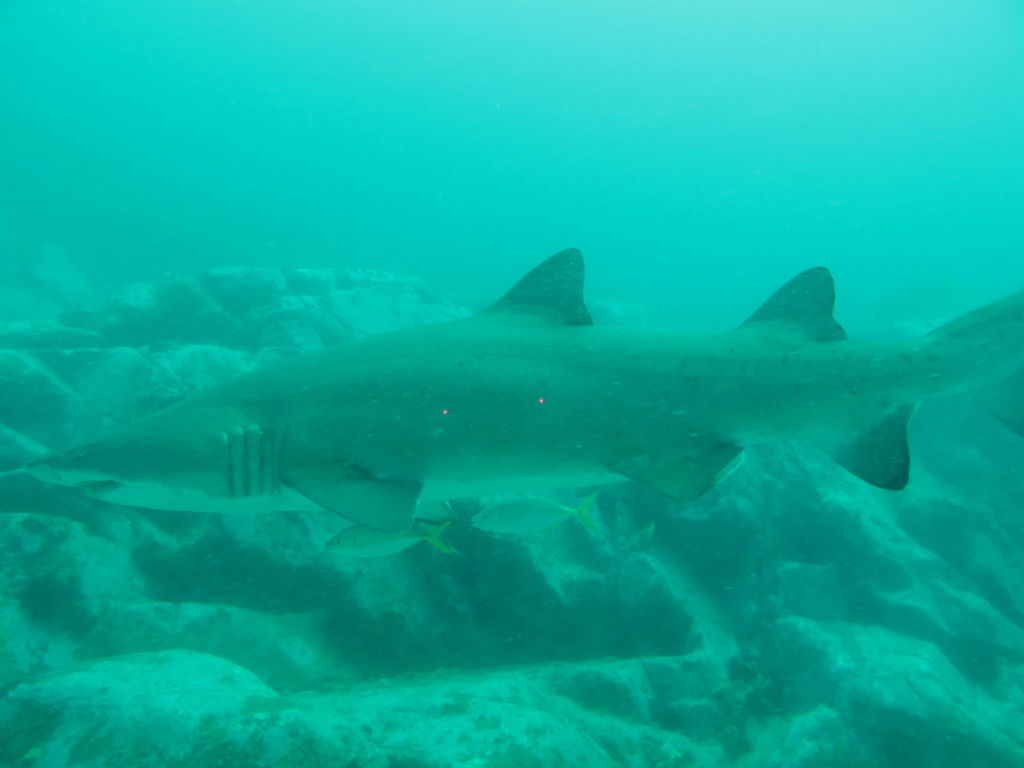 e01fd35e-ae97-4d6e-9cd8-9cd38adba9b2