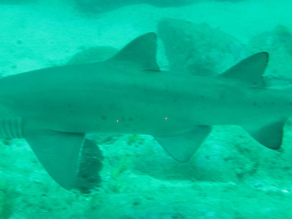 bbbafaa8-5da8-41b5-8afb-e8001819070b