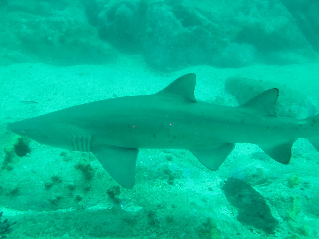 bbbafaa8-5da8-41b5-8afb-e8001819070b