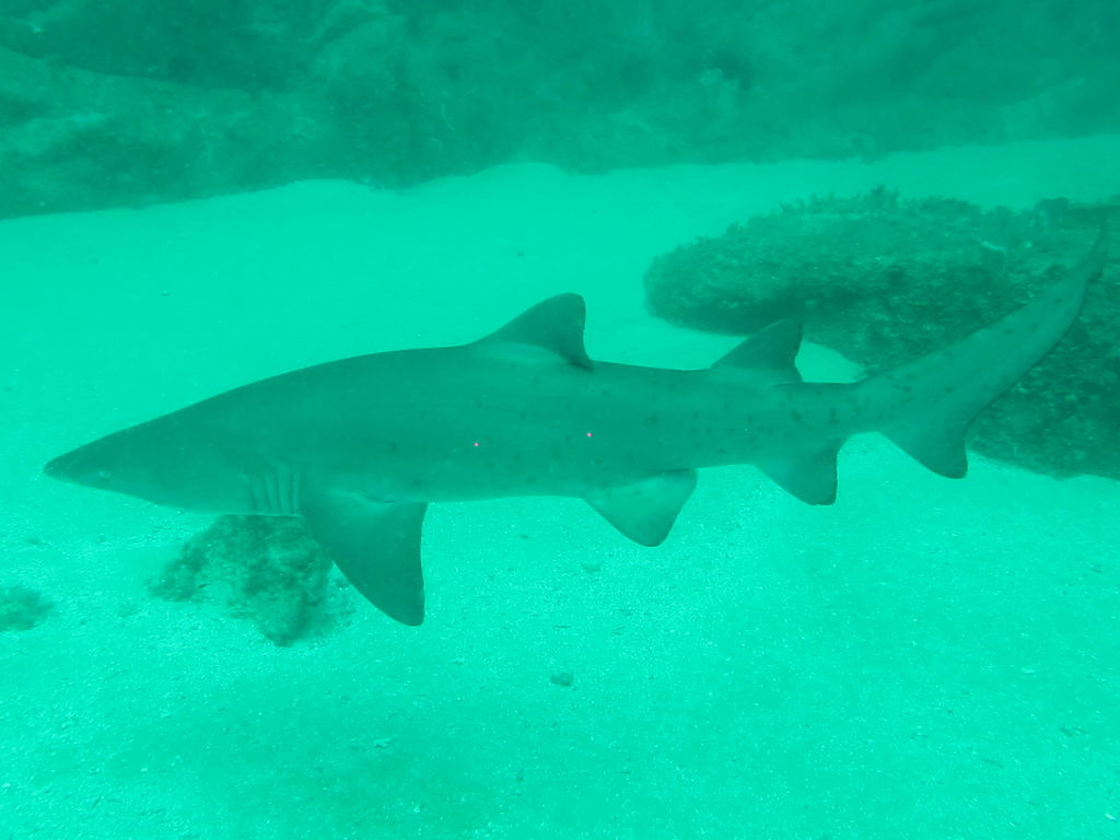 1e3e53e7-a317-46b0-8e67-8d1227efb85a