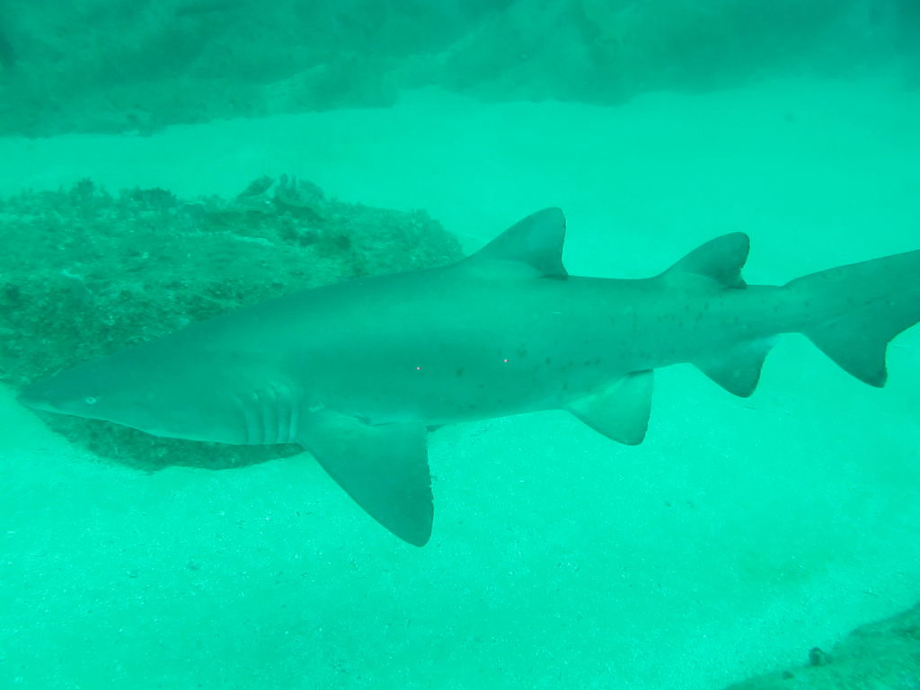 88307ccd-79ae-41cc-b906-10074c97fd3a