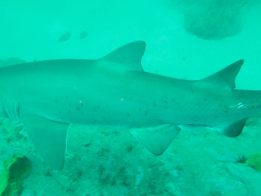 7997d142-d7fb-4fe1-a949-b28bfb994a49