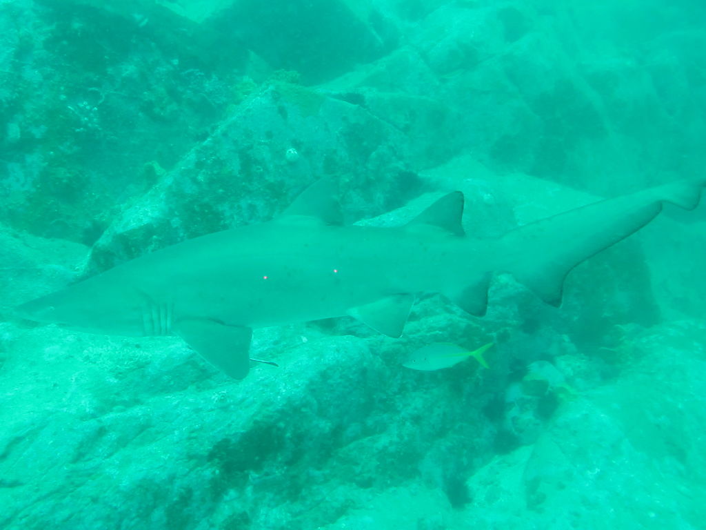 80382589-39da-42d0-816e-e59f0ae9ca5e