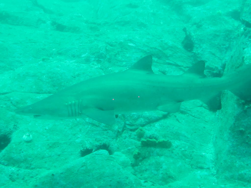 5c3de40b-5e4c-473a-9be3-9d4e35266746